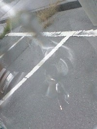 朝から最悪 2008/03/14 10:38:54