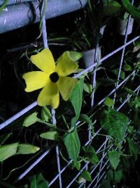 腹減った 2008/05/19 23:42:59