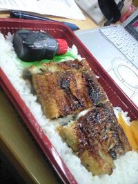 久々 2008/10/13 14:05:55