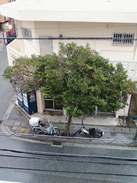 出かけようと思ったら