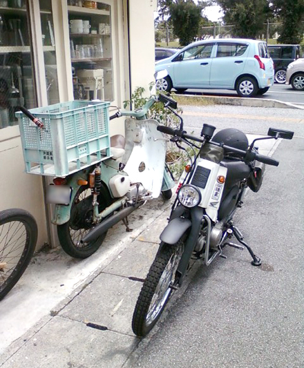 ぷるるとランチ♪