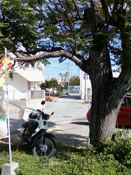 今日は嘉手納&読谷で
