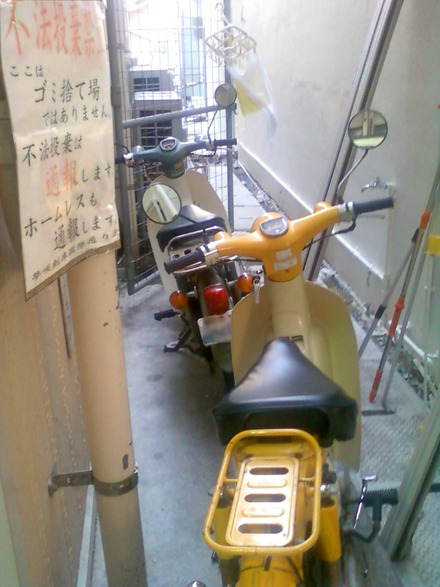 市場はカブのたまり場?