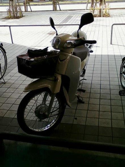 師走ですね〜。