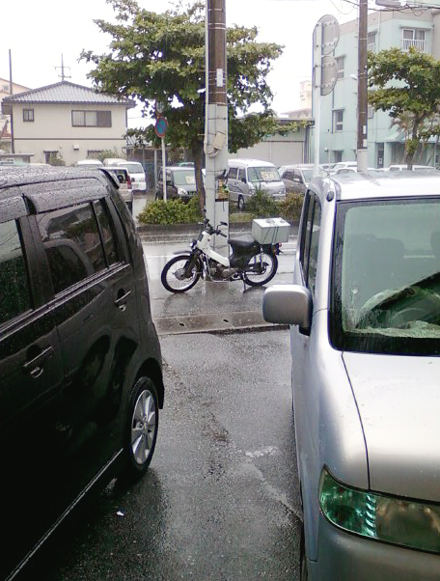 やっぱり梅雨だった