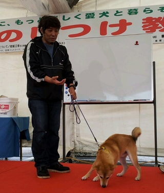 愛犬のしつけ教室