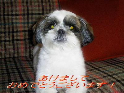 2010年はどんな年?