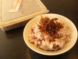 春の風物詩♪