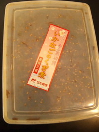 春の風物詩♪