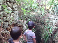 700年前と500000年前の場