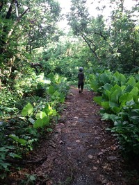 伊良部小 牧山公園を歩こう