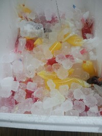 伊良部小 アイスキャンディー作り