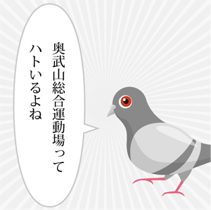 ハトきち