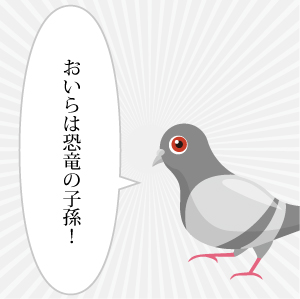 ハトきち