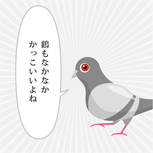 ハトきち