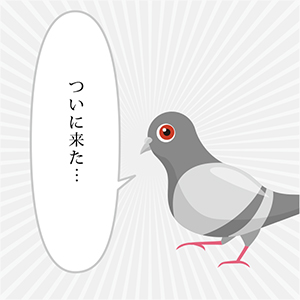 ハトきち