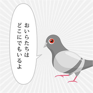 ハトきち