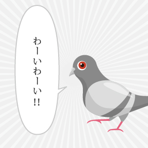 ハトきち
