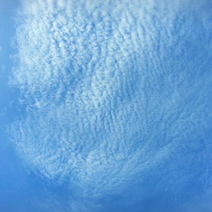 高くなってきた空