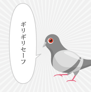 ハトきち