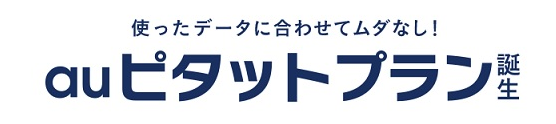 auピタットプラン詳細 auピタットプラン詳細