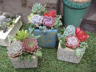 入荷情報 入荷情報