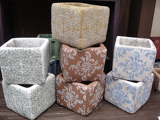 入荷情報 入荷情報