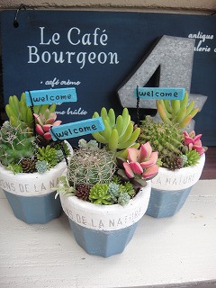 オーダーの寄せ植え オーダーの寄せ植え