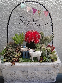 オーダーの寄せ植え オーダーの寄せ植え