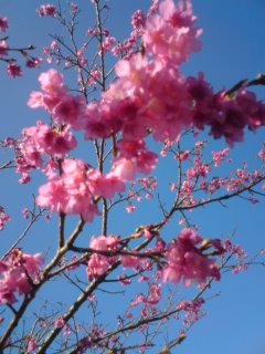 早い!4月になっちゃったよ!!
