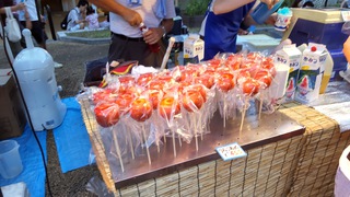 常盤平団地夏まつりで、サンバ! 常盤平団地夏まつりで、サンバ!