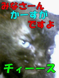 2009年07月01日