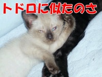 2009年06月27日