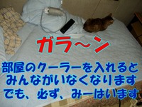 2009年06月24日