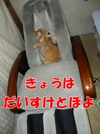 2009年06月25日