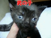 2009年06月25日