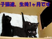 2009年06月27日