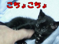 2009年06月28日