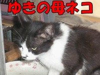 2009年06月27日
