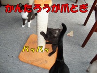 2009年06月29日