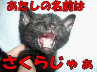 2009年06月29日