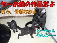 2009年06月30日