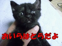 2009年06月30日