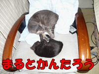 2009年07月01日
