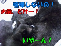 2009年07月02日