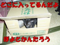 2009年07月02日