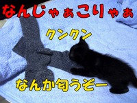 2009年07月03日