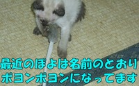 2009年07月04日