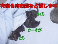 2009年07月05日
