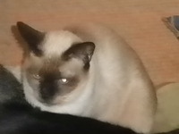 2011年12月19日